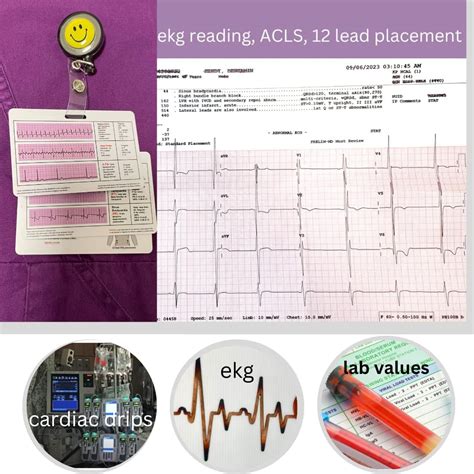 Buy Momozee Nursing Reference Badge Cards Ecg Ekg Cardiac Drips Lab