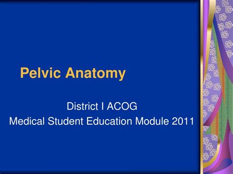 Ppt Pelvic Anatomy Powerpoint Presentation Free Download Id2440146