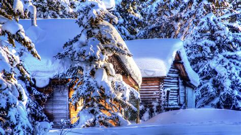 Alaska Paysage Dhiver Neige Forêt Sapin Cabanes Fonds Décran