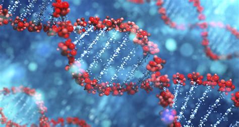 Dna is a molecule that contains the instructions an organism needs to develop, live and reproduce. Scientists Say: Loci | Science News for Students