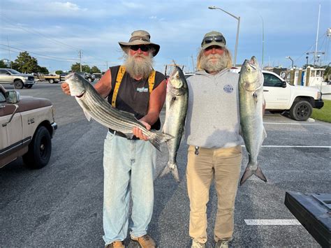 Tackle Shops Fishing Reports And News Ocean City Md Tournaments