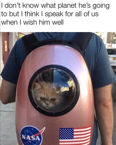 29 Purrfect Caturday Cat Memes That Will Leave You Feline Good I Can