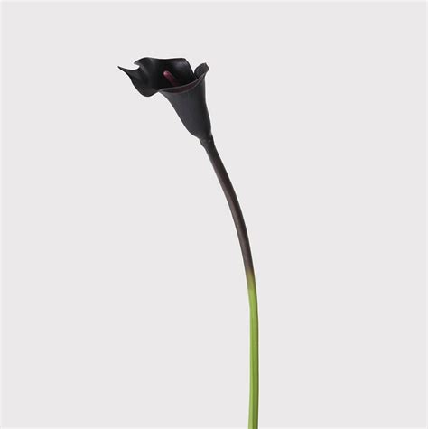 Calla Lily Stem Faux Flowers Artisan Abode