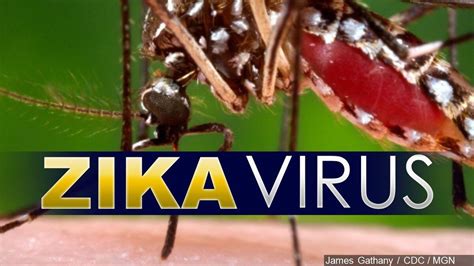 Doctors Confirm First Death Connected To The Zika Virus In The United