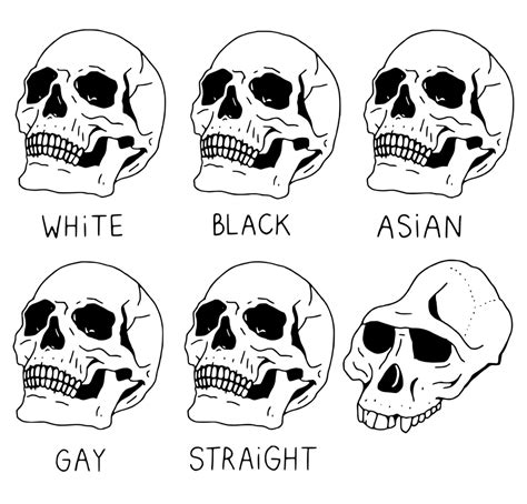 Skull Comparisons Meme Template In Hd Memerestoration