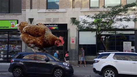 Test Nuke Giant Chicken In Montreal Youtube