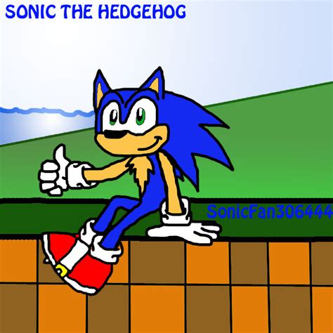 Sonic The Hedgehog Sonic El Erizo Foto 32938162 Fanpop