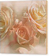 Peach Roses In The Mist Photograph By Jennie Marie Schell Fine Art