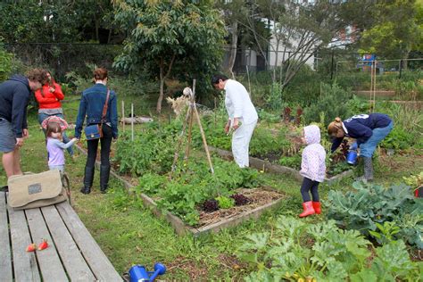 Ways To Learn About Gardening In Local Community House And Homestead