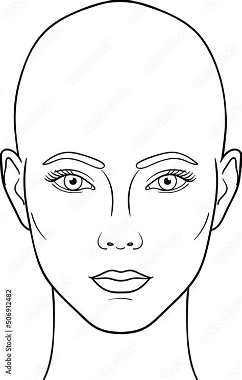 Female Head Front View Ector Illustration Bald Woman Head Anatomy Line