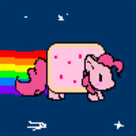 The best gifs of popcats on the gifer website. Image - 116852 | Nyan Cat / Pop Tart Cat | Know Your Meme