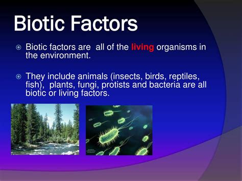 Ppt Biotic And Abiotic Factors Powerpoint Presentation Free Download