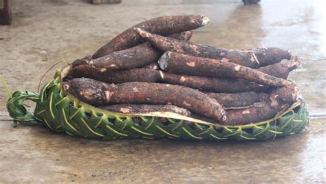 There is 2 types of sweet potatoes (kumala Tongan Potato - Scrubstheme Tongan Potato Online Edible ...