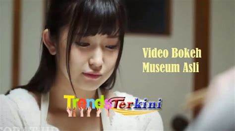 Video Bokeh Museum Viral Edukasi News