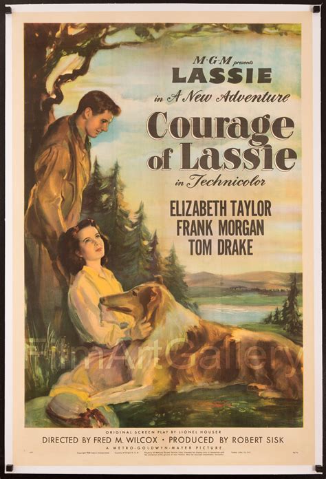 Elizabeth Taylor Courage Of Lassie Vintage Movie Poster