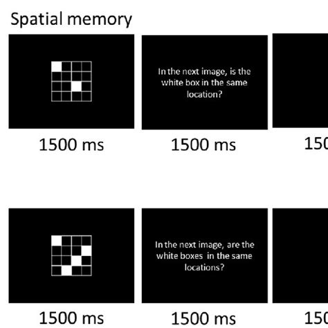 Schematic Of The Visuospatial Working Memory Task Download