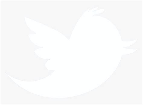 Thumb Image Black White Twitter Logo Hd Png Download Transparent