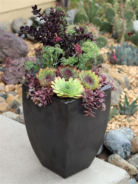 9 Succulent Container Garden Recipes Hgtv Succulents In Containers