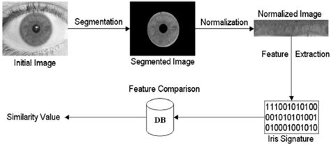 Steps Of Identification Using Biometric Iris Download