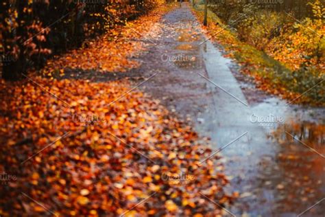 Autumn Sun Rays Sunbeam Appear Over Sidewalk In A Rainy Day Fallen
