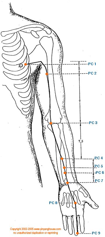 Pericardium Meridian Meridian Points Acupuncture Traditional