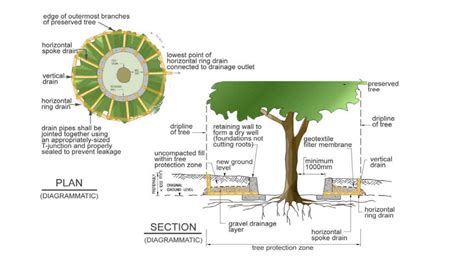 Air circulation is cut off and moisture and nutrients cannot reach the tree roots. Raising Soil Grade - Protecting Existing Trees ...