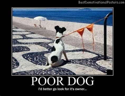 Poor Dog Demotivational Poster