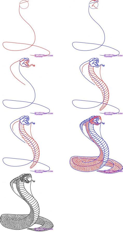 How To Draw A Cobra Pencil This In Snake Drawing Drawings Snake Art