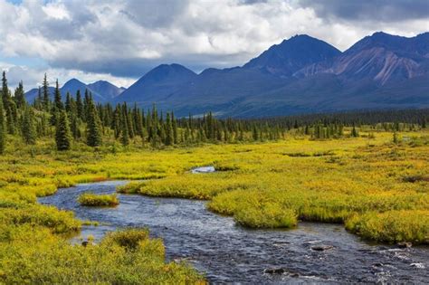 Premium Photo River On Alaska