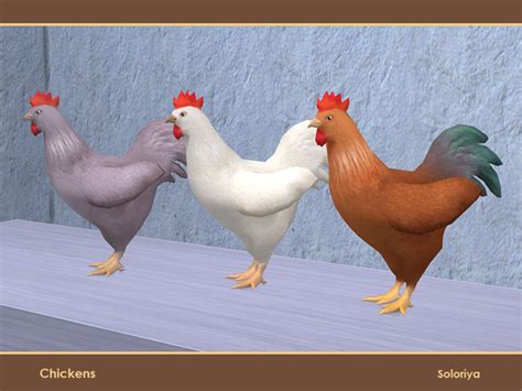 The Sims Resource Chickens Rooster