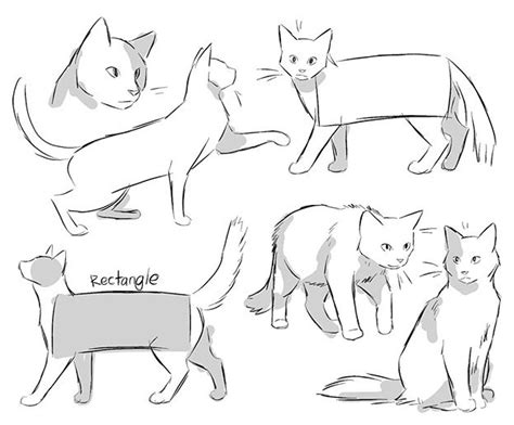 Cats Animal Sketches Animal Drawings Art Drawings Cat Reference Art