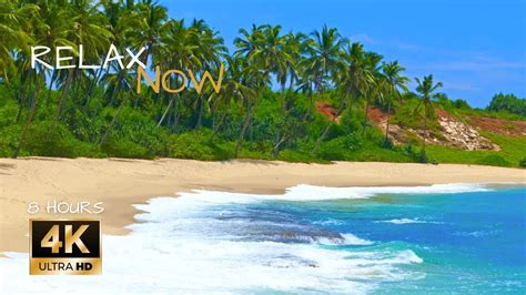 Stress Gone😎 Instantly4k Tropical Beach🏖ambience Soothing Ocean Waves🌊