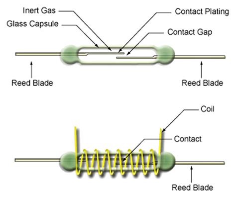 These relays work very quickly because of the short distance between the reeds. What is a reed relay?