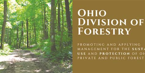 Odnr Division Of Forestry Seeks Public Input On Update To Ohios Forest