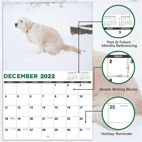 2022 2023 Calendar Pooping Dogs Wall Calendar 2022 2023 From July