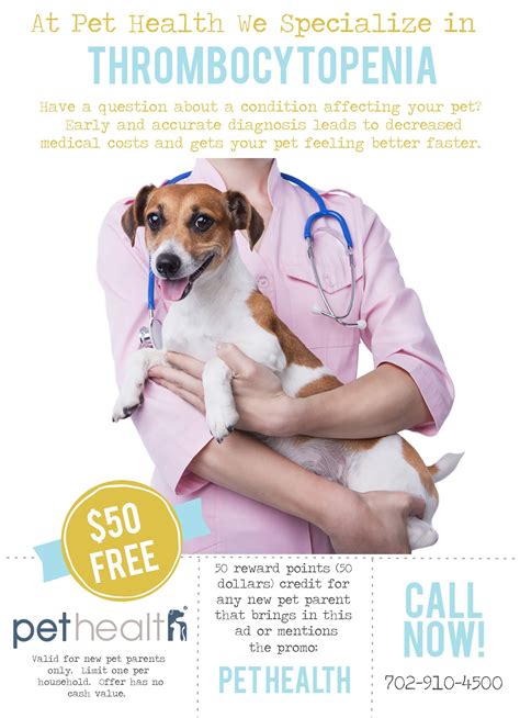 Veterinarian Experienced In Thrombocytopenia Other Causes In Las Vegas
