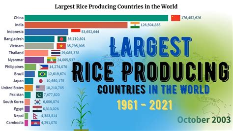 Largest Rice Producing Countries In The World Top Rice