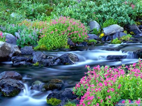 Free Download Beautiful Nature Landscape Scenery Hd Wallpaper