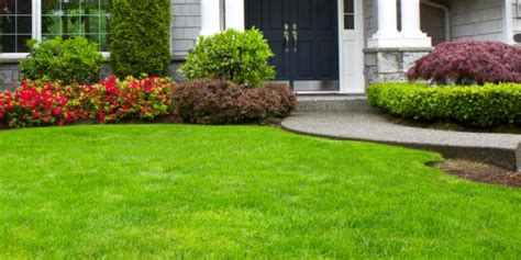 Our Services Lead To Healthy And Beautiful Lawns