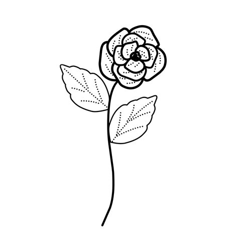 Free Download Rose Line Art Rose Drawing Rose Sketch Muslim Wedding