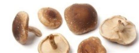 Jun 28, 2021 · ce champignon noir est une épidémie dans la pandémie, aux dires du magazine scientific american. Le Shiitaké, champignon noir de Chine - Info Santé Nature