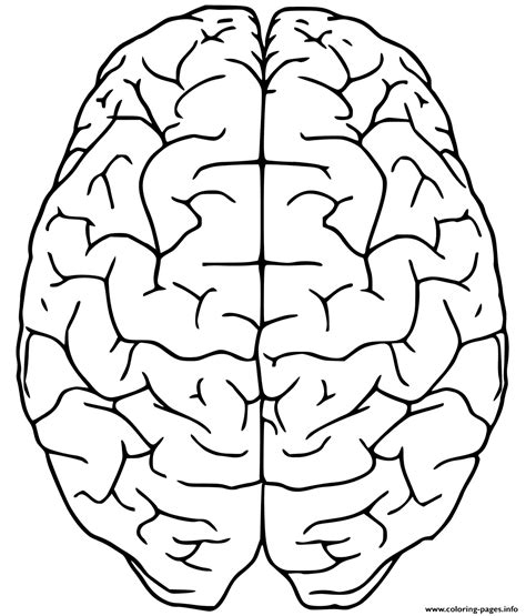 Brain Up Side Coloring Page Printable