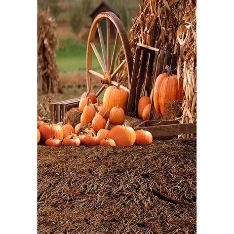 Laeacco Autumn Rural Farm Pumpkins Wheel Haystack Scene Photography