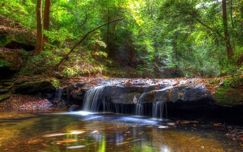 Small Waterfall In The Green Forest Wallpaper Nature Wallpapers 36862