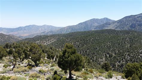 Spring Mountains National Recreation Area In Nevada Tours And