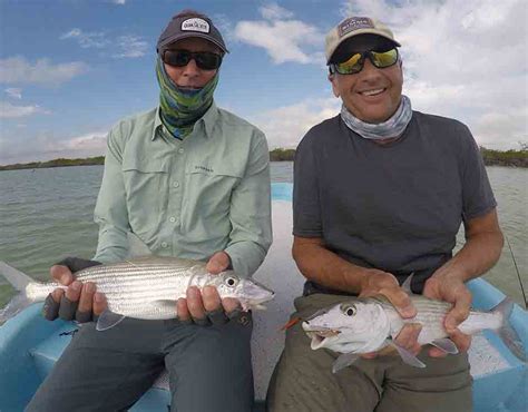Fly Fishing Tulum Complete Guide To Best Fly Fishing In Tulum
