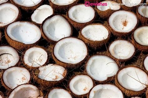 Along with that, the fruit's multipurpose nature makes it stand out from the rest. World Coconut Day 2020: Quotes, Wishes, Pictures, Facts & How to celebrate the National Coconut ...