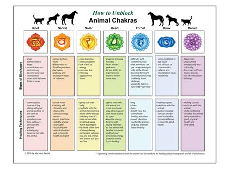 Laminated Chart On Animal Chakra Blockages And Healing Etsy Animal