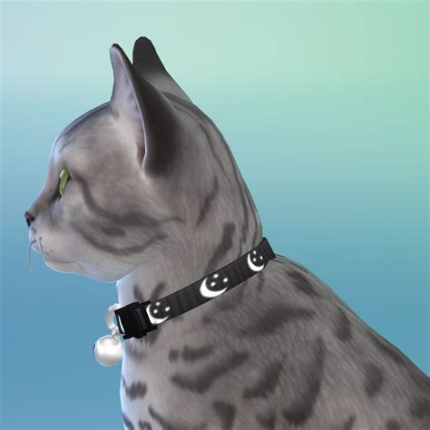 The Sims 4 Cat And Dog Animal Genitalia Maptide