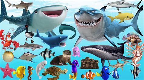 Finding Dory All Sea Animals Learn Sea Animals With Disney Pixar